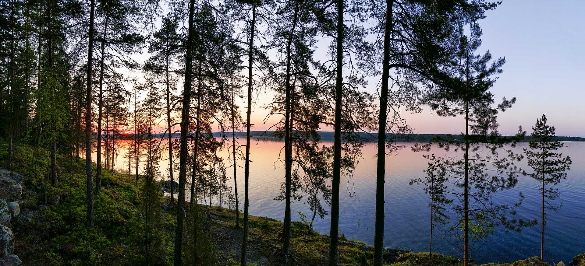Voionranta sijaitsee entisen Voionmaan opiston alueella Näsijärven rannassa.